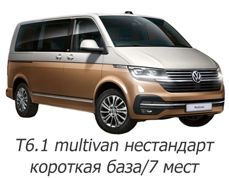 EVA автоковрики для Volkswagen T6.1 Multivan 2019-2024 (короткая база) НЕСТАНДАРТ — t6-1-kor-baza-7m-nest